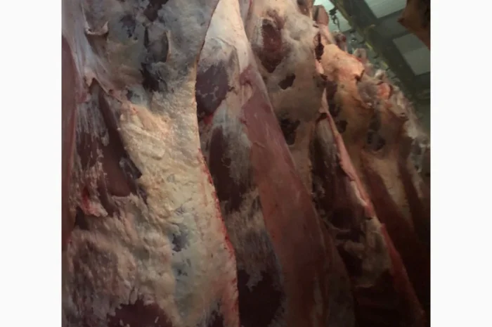 Продаж замороженої свинини та яловичини від виробника- фото № 2