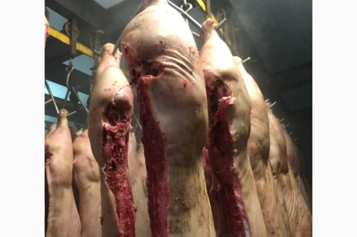 Продаж замороженої свинини та яловичини від виробника- фото № 3