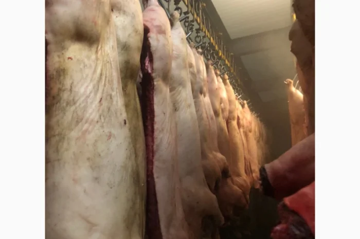 Продаж замороженої свинини та яловичини від виробника- фото № 4