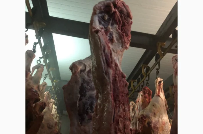 Продаж замороженої свинини та яловичини від виробника- фото № 5