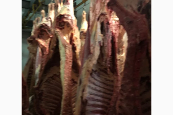 Продаж замороженої свинини та яловичини від виробника- фото № 6