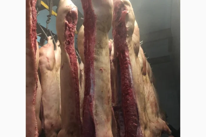 Продаж замороженої свинини та яловичини від виробника- фото № 7