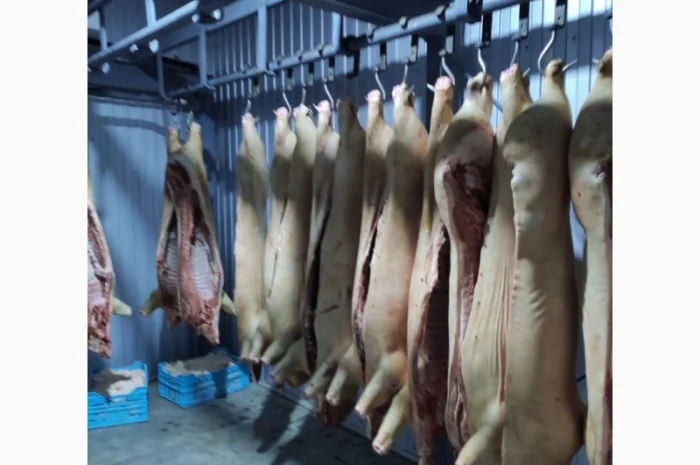 Продается убойный цех с современным оборудованием- фото № 1