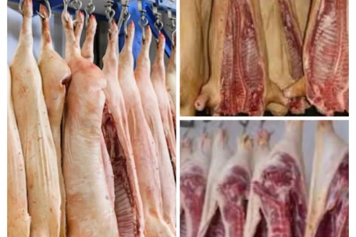 Туші свинини оптом і в роздріб в Одесі- фото № 1