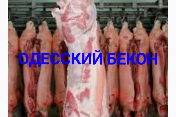 Свіже м'ясо свинини оптом і в роздріб- фото № 1