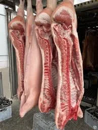 Свинячі тушки оптом - свіжі та заморожені- фото № 1