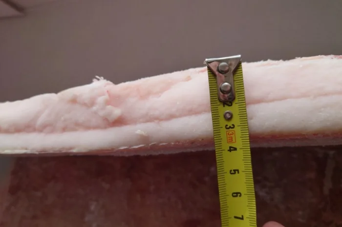 Сало Іберика заморожене- фото № 1