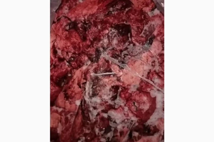 Продам свиное лёгкое- фото № 1