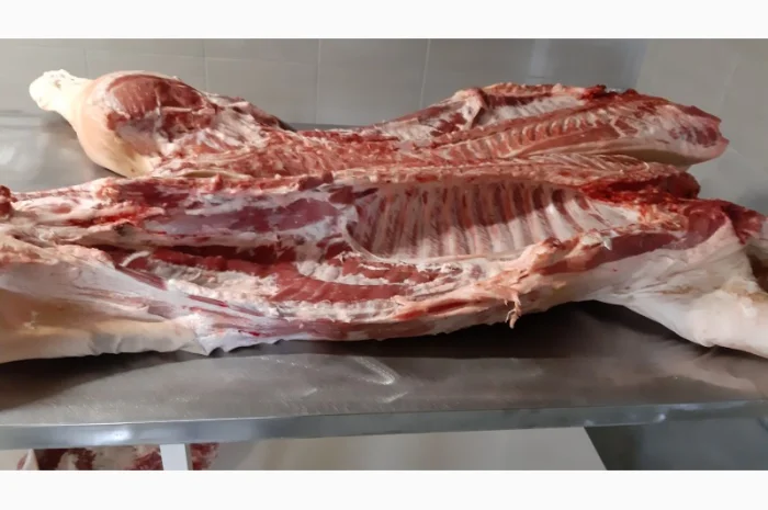 Куплю напівтуші свинні- фото № 1