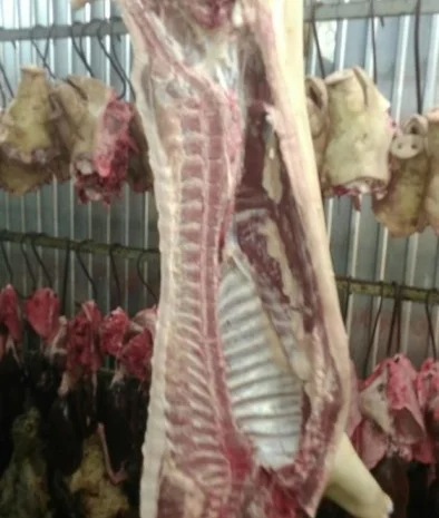 Мясо Свіже Охолоджене в півтушках- фото № 2