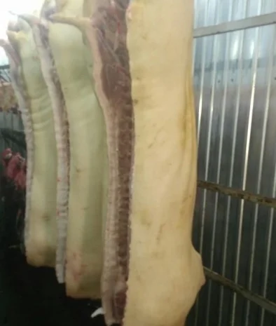 Мясо Свіже Охолоджене в півтушках- фото № 3