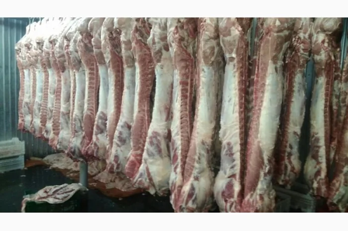 Мясо Свіже Охолоджене в півтушках- фото № 4