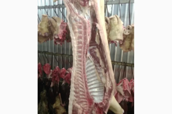 Мясо Свіже Охолоджене в півтушках- фото № 6