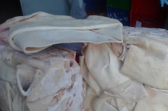 Продается шкура свинная шпареная- фото № 1