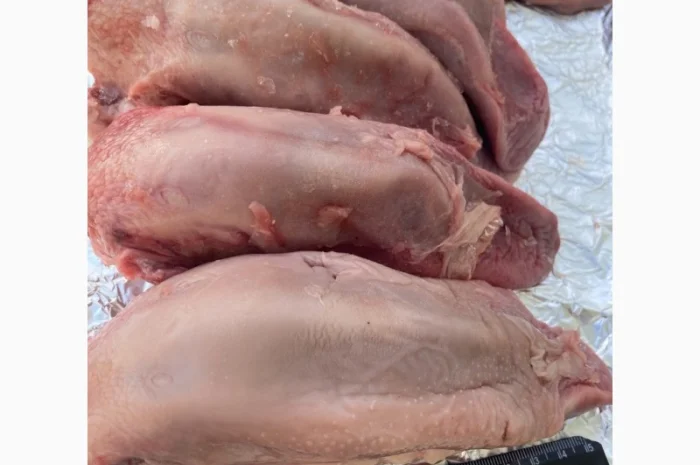 Пропонується свинячий язик заморожений- фото № 1