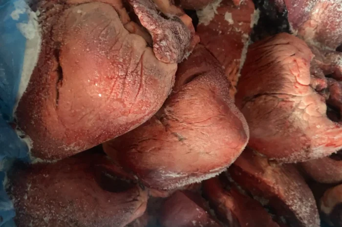 Продается сердце свиньи- фото № 1