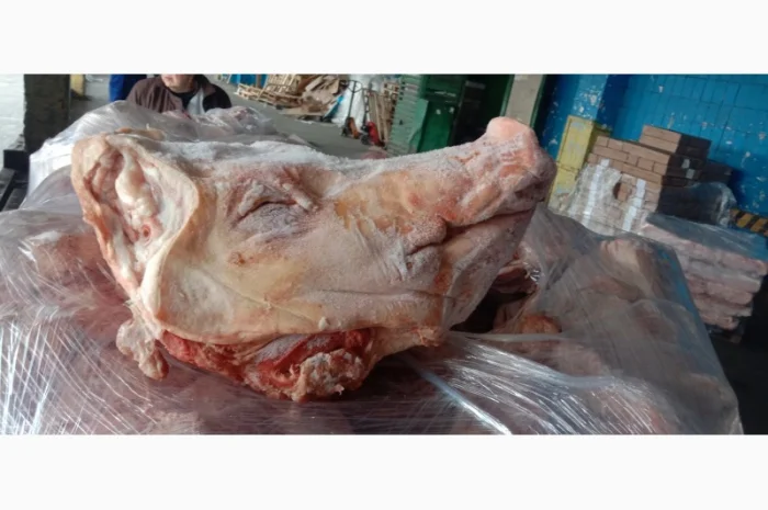 Продается головы свиней с полным пакетом документов- фото № 1