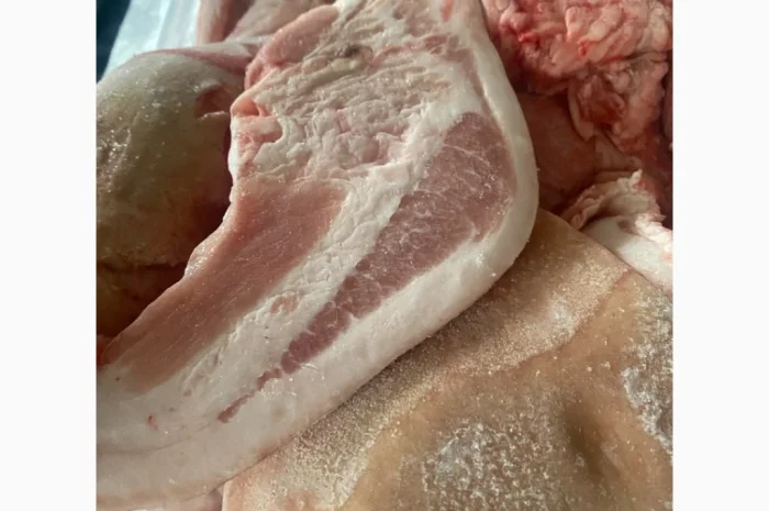 Продается мясные свиные баки с документами- фото № 1