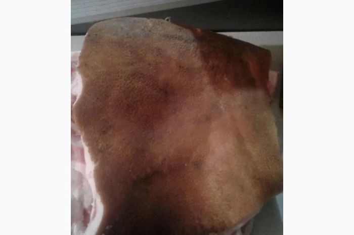 Продам домашнее сало на шкуре- фото № 1