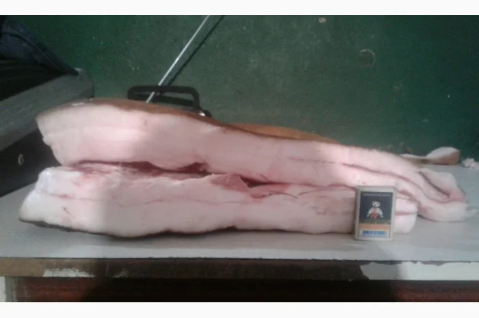 Продам домашнее сало на шкуре- фото № 2