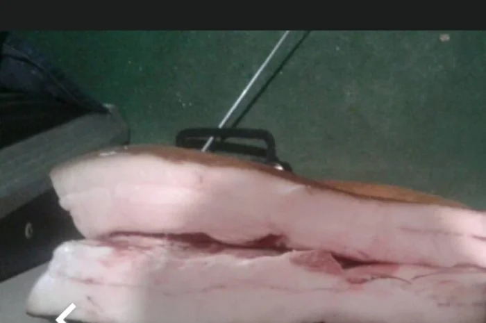 Продается домашнее сало на шкуре- фото № 3