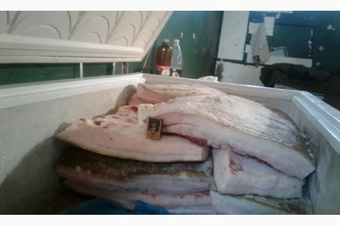 Продам домашнє грубе сало- фото № 3