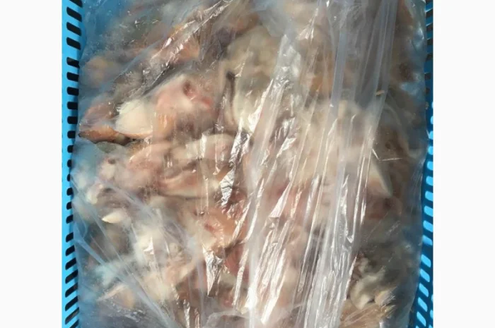 Свиняча обрізь з вух – великі об’єми, доставка можлива- фото № 6