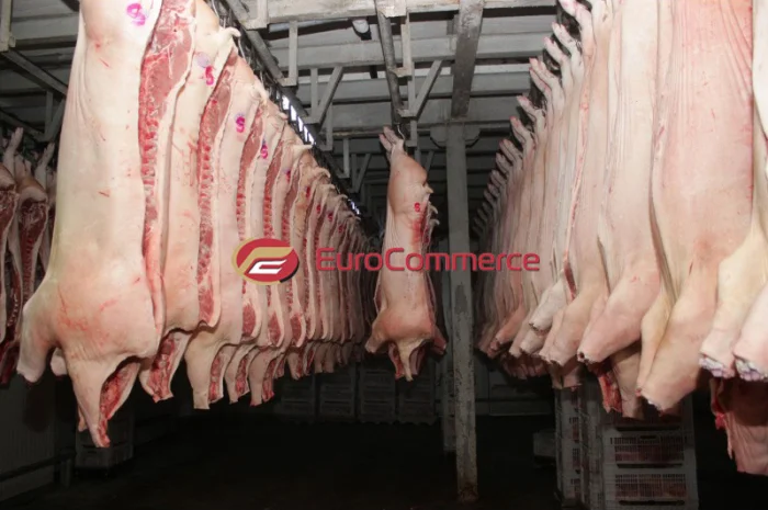 Напівтуші свинні / Полутуші свиняче м’ясо – продаж гуртом та в роздріб- фото № 1