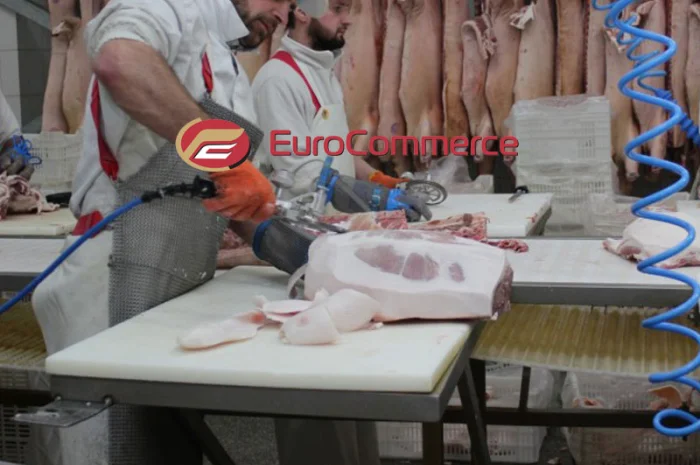 М’ясо від виробника оптом: напівтуші свинні, елементи та субпродукти- фото № 1