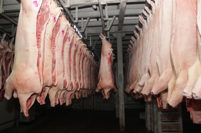 Свинина оптом від виробника – напівтуші, елементи та субпродукти- фото № 1