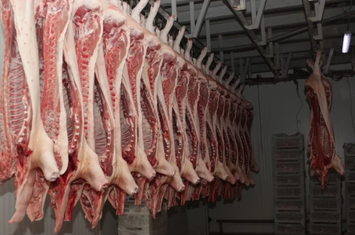 Свинина оптом від виробника – напівтуші, елементи та субпродукти- фото № 2