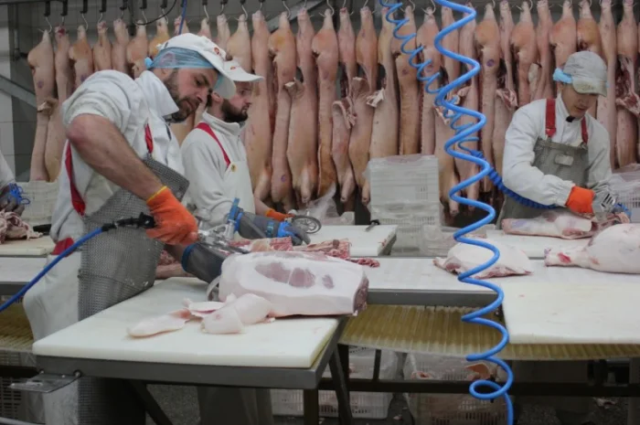 Свинина оптом від виробника – напівтуші, елементи та субпродукти- фото № 4