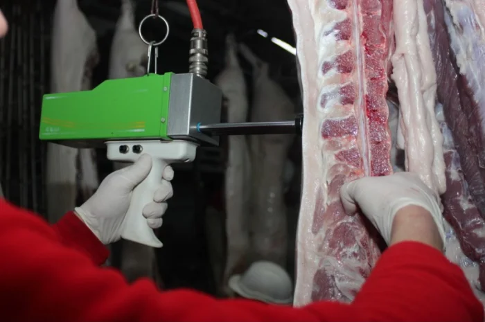 Свинина оптом від виробника – напівтуші, елементи та субпродукти- фото № 6