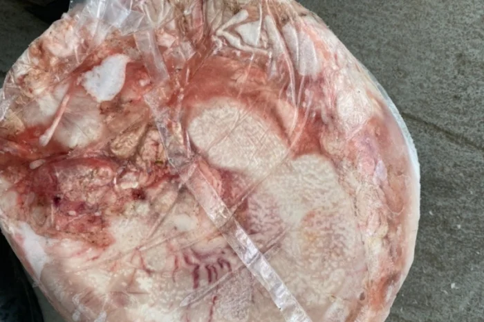 Свиной желудок оптом – продажа постоянно- фото № 1