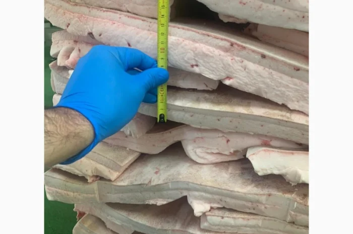 Оптовий продаж сала іберійської свині на шкурі- фото № 1