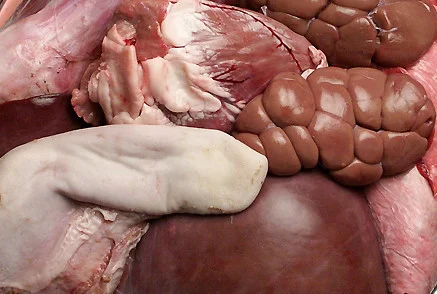 Свинные потроха цена- фото № 1