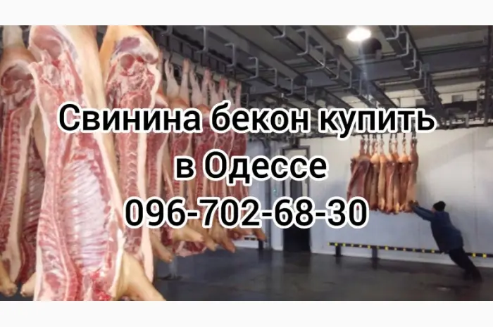 Свинина свежий забой цена- фото № 1