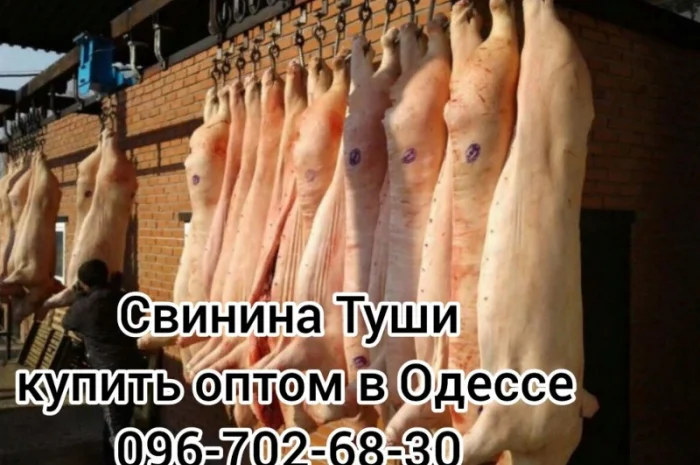 Туши свинины цена- фото № 1