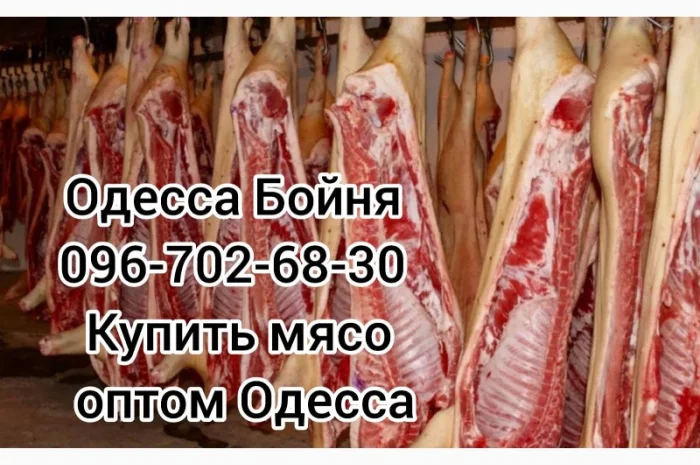 Туши свинины цена- фото № 2