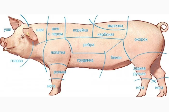 Продажа свиной разделки (замороженной): задок, корейка, лопатка, вырезка, ошеек, окорок, 80/20- фото № 1