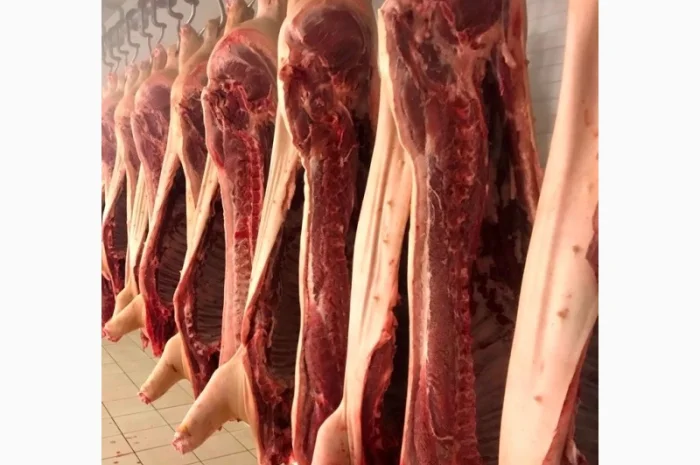 Продам свинину – полутуши (обрезные и в шкуре)- фото № 1