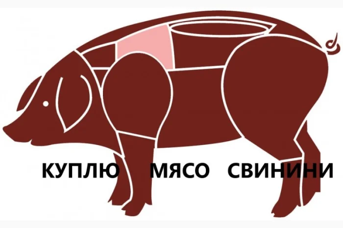 Куплю свинину (1-й та 2-й сорт), охолоджену або заморожену. Опт, стабільні закупівлі- фото № 1