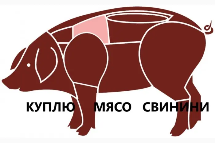 Куплю свинину (1 сорт- фото № 1