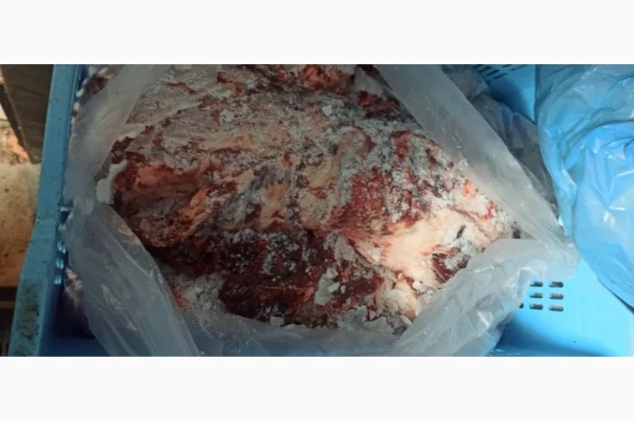 Продам односортне м’ясо свинини- фото № 1