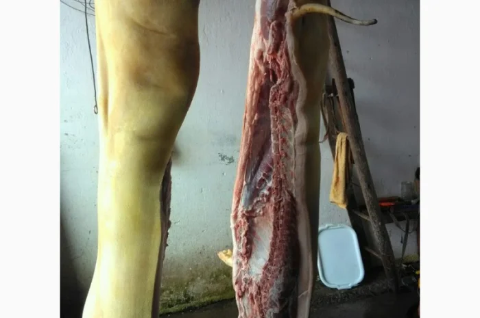 Свинина оптом та дрібним гуртом- фото № 1