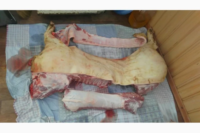Продам свинину — свіже м’ясо з доставкою- фото № 1