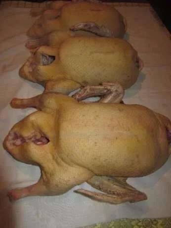 Продам мясо. Индейка, индюк, курица, утка, гусь, тапак, перепела- фото № 1