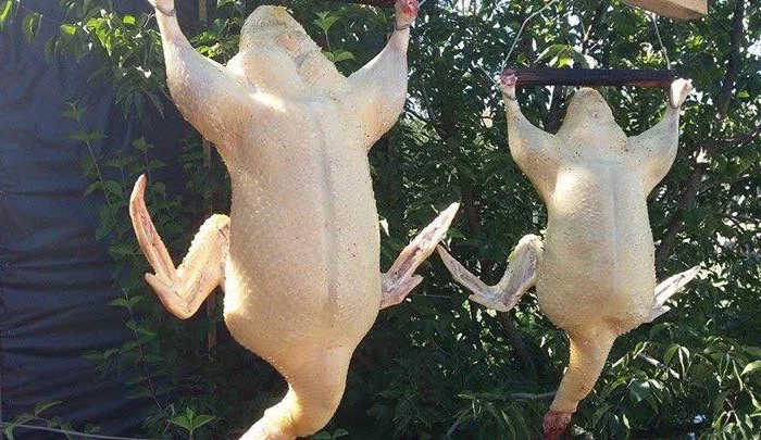 Продам мясо. Индейка, индюк, курица, утка, гусь, тапак, перепела- фото № 2