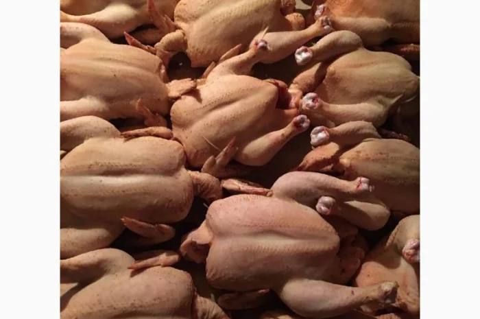 Продам мясо. Индейка, индюк, курица, утка, гусь, тапак, перепела- фото № 3