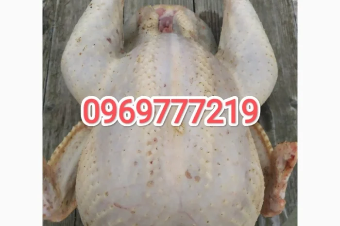 Індиче домашнє м"ясо- фото № 2